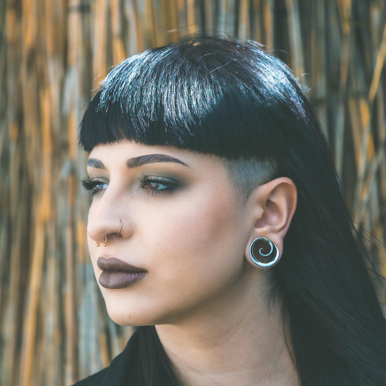 Spiral Surgical Steel Saddle Ear Weight Model Shot