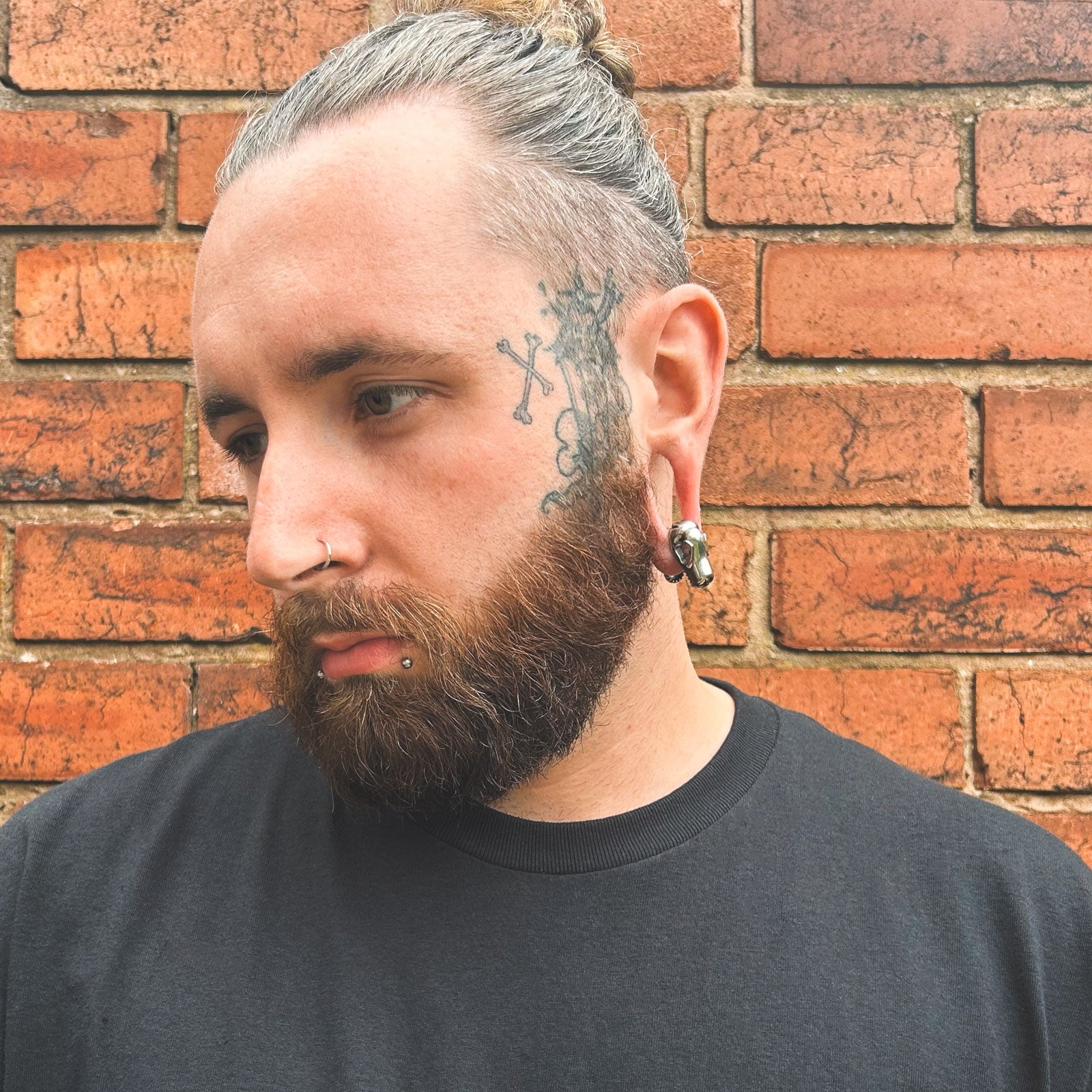 Surgical Steel Dino Skull Ear Weight Model Shot