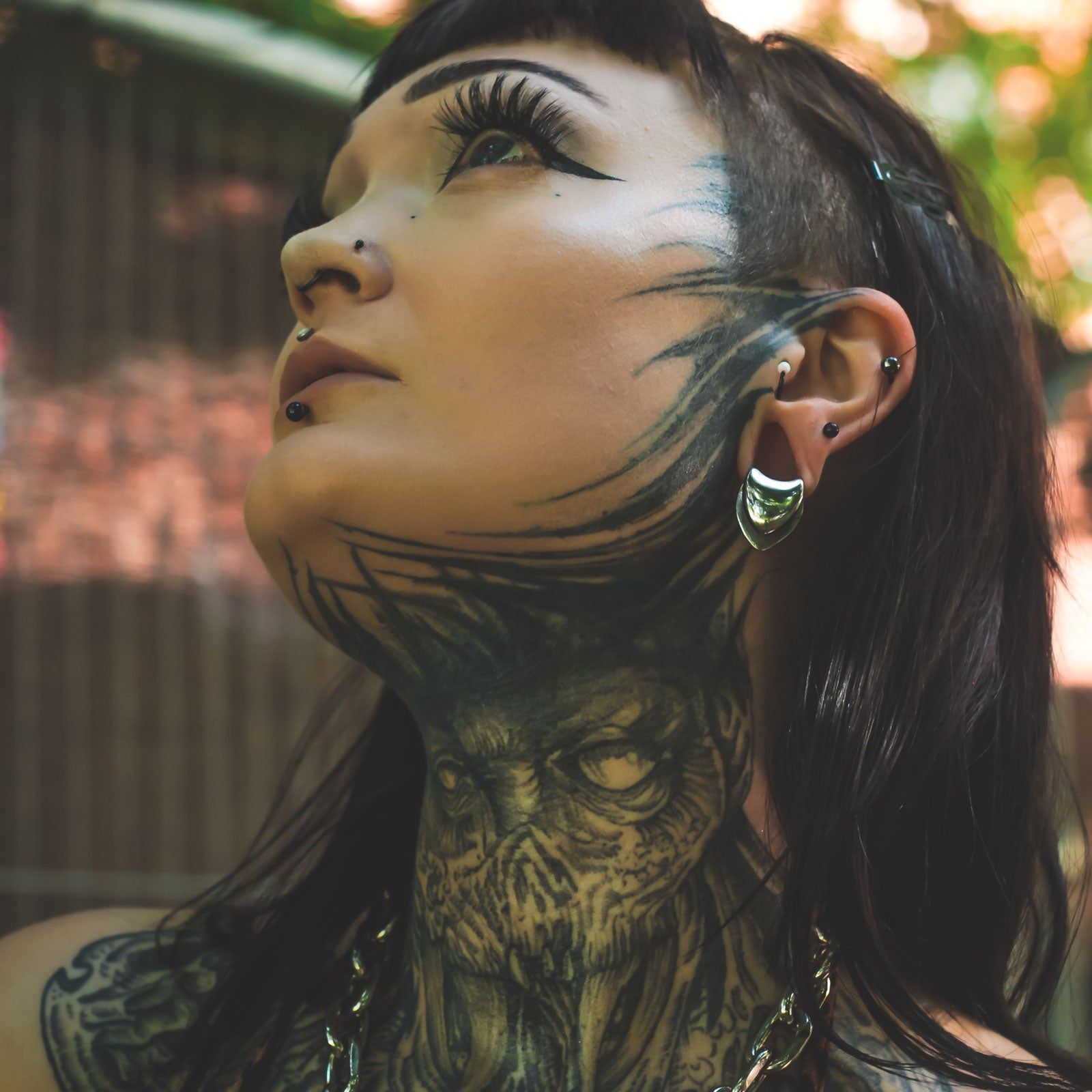 Surgical Steel Saddle Ear Weight Hanger Model Shot