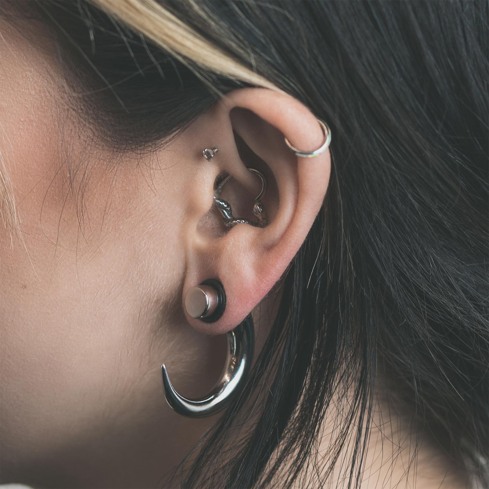 Surgical Steel Talon Model Shot