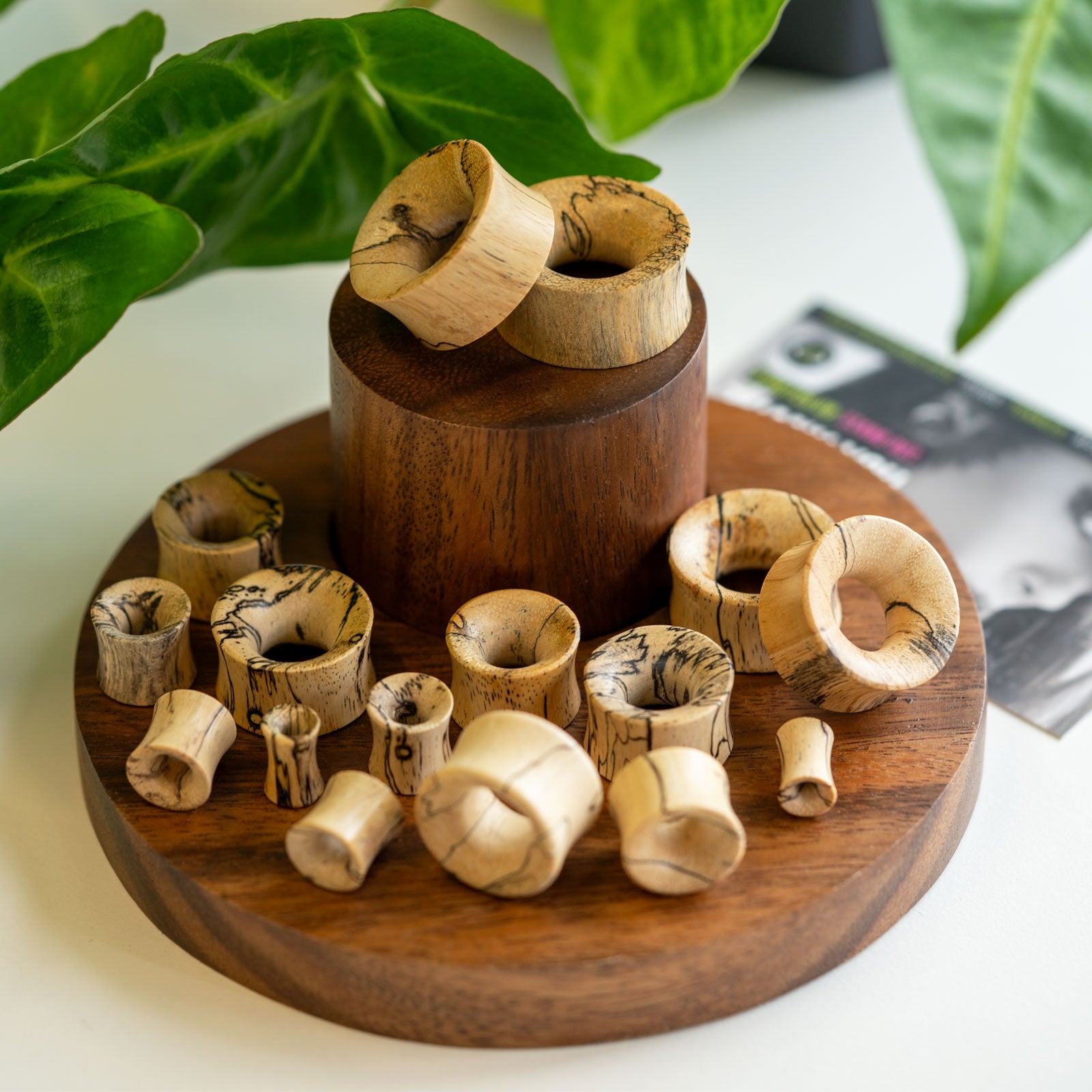 Tamarind Wood Double Flare Concave Tunnel Group Shot