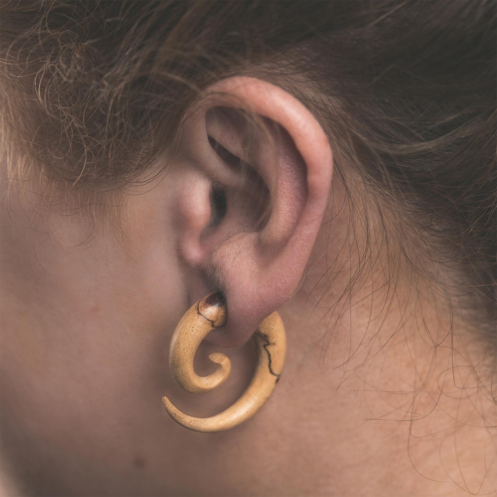 Tamarind Wood Fake Gauge Spiral Model Shot