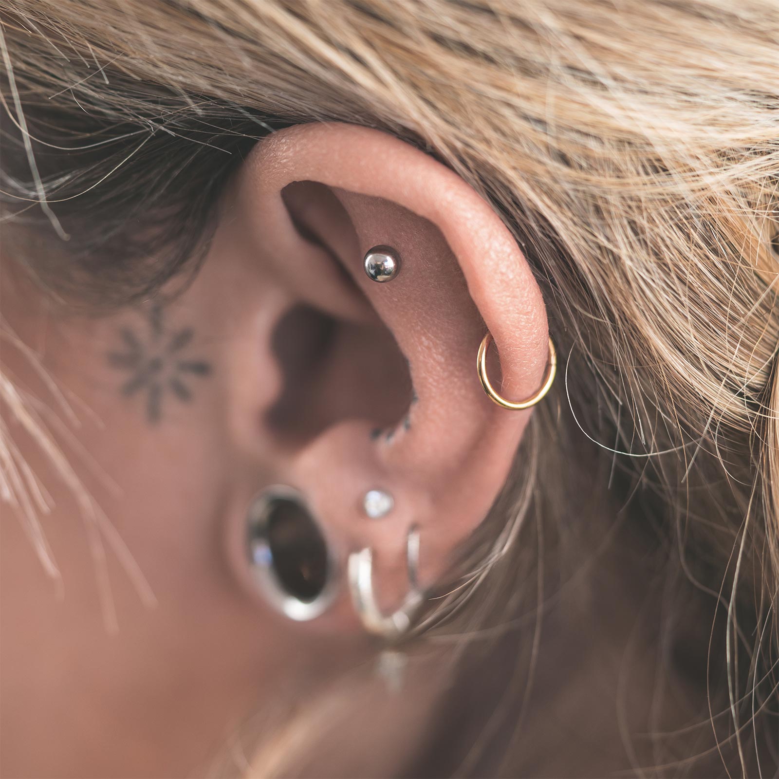 Titanium Ball Threadless Top Model Shot