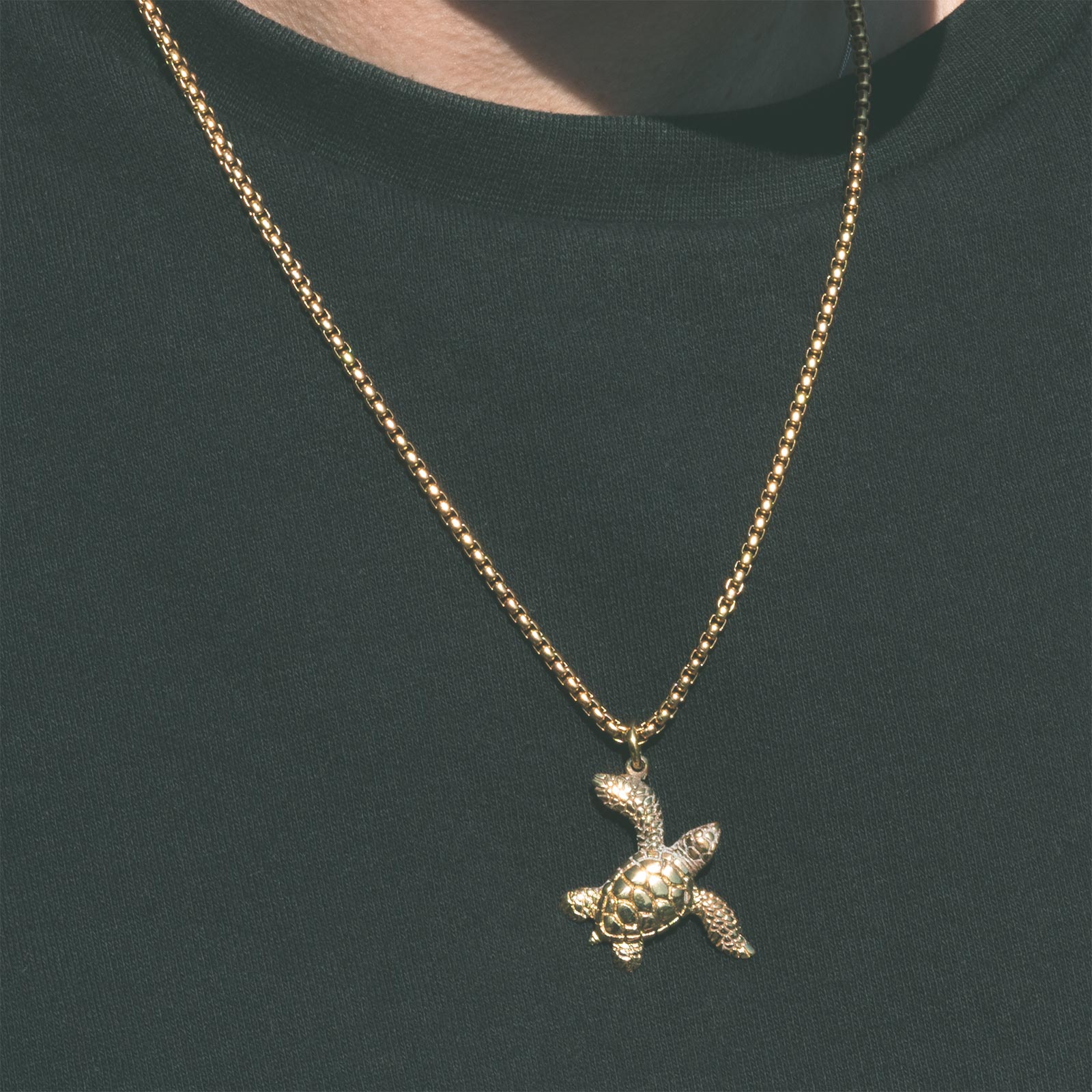 Turtle Brass Pendant With 18k Gold Box Chain Model Shot