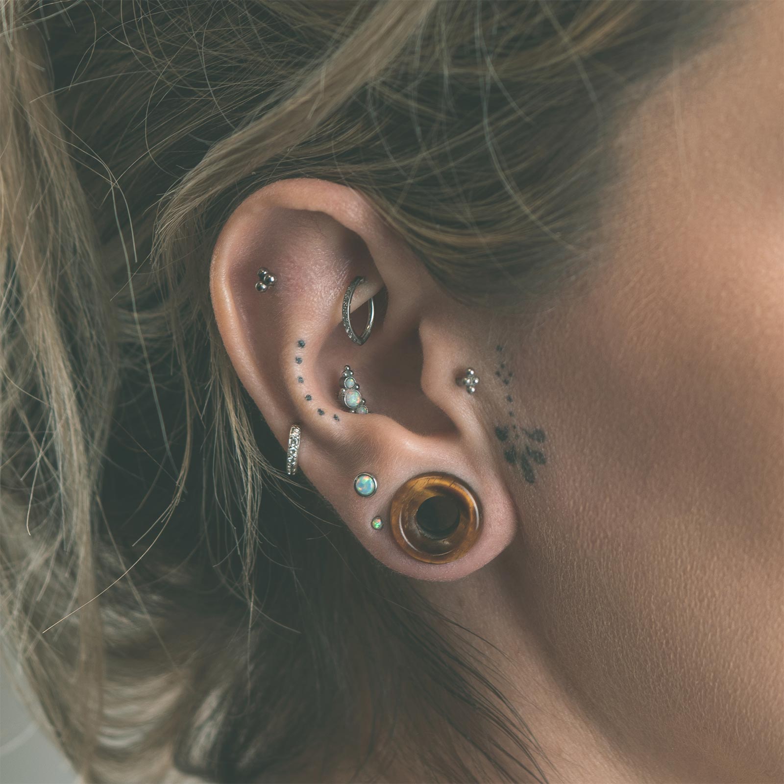 Yellow Tiger's Eye Double Flare Concave Stone Tunnel Model Shot