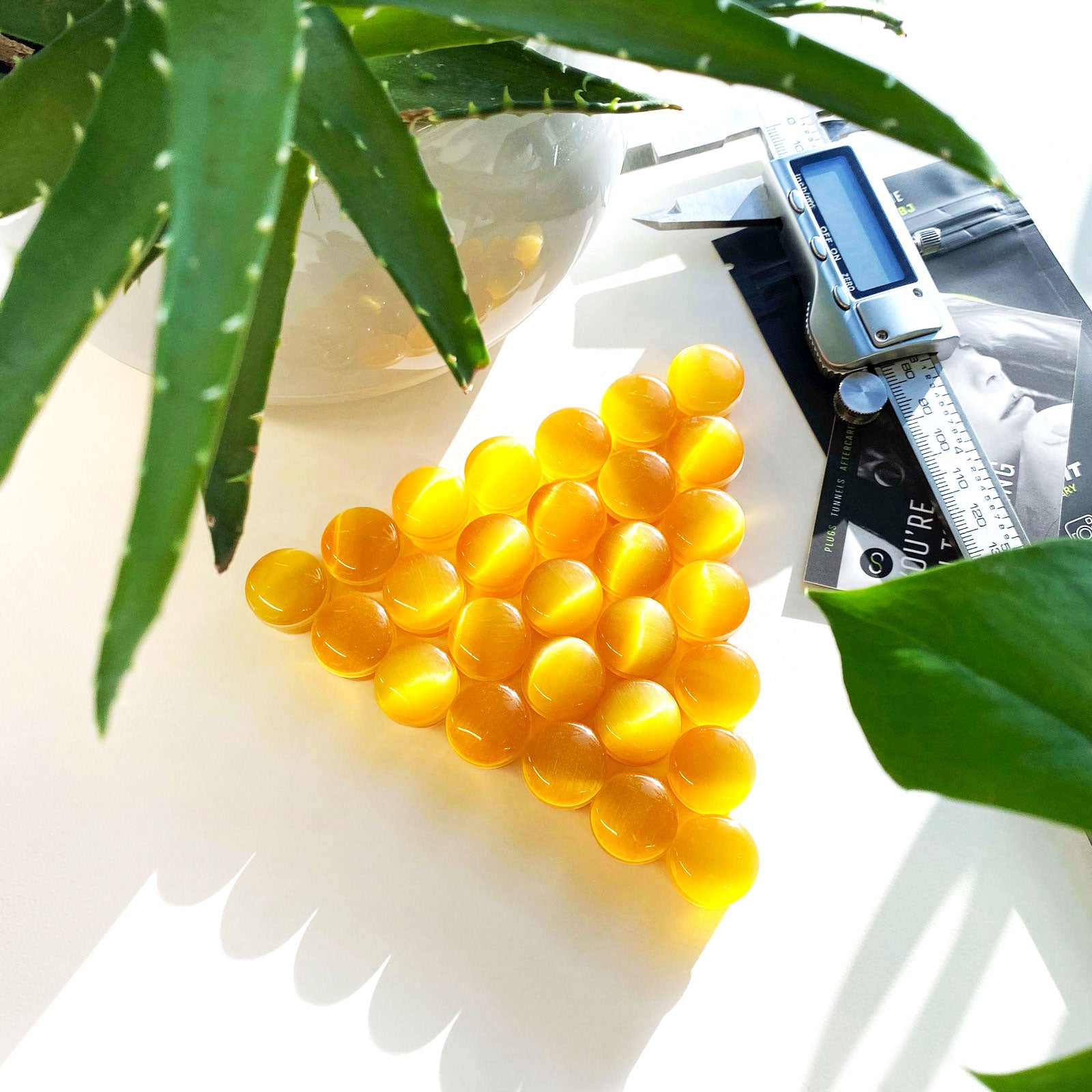 Yellow Cat's Eye Single Flare Group Shot