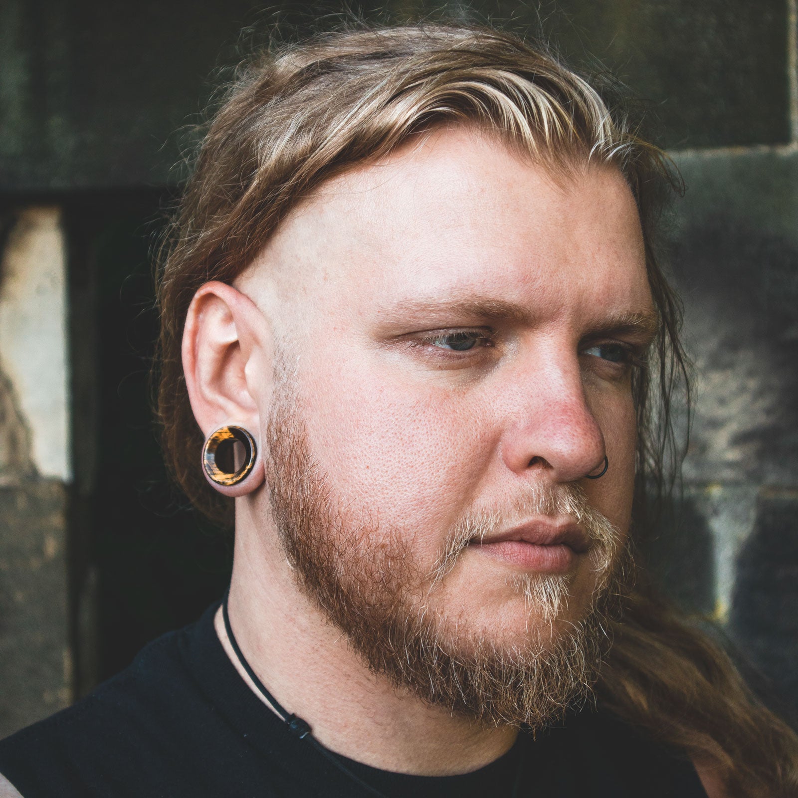 Blue Tigers Eye Double Flare Concave Stone Tunnel Model Shot Tim