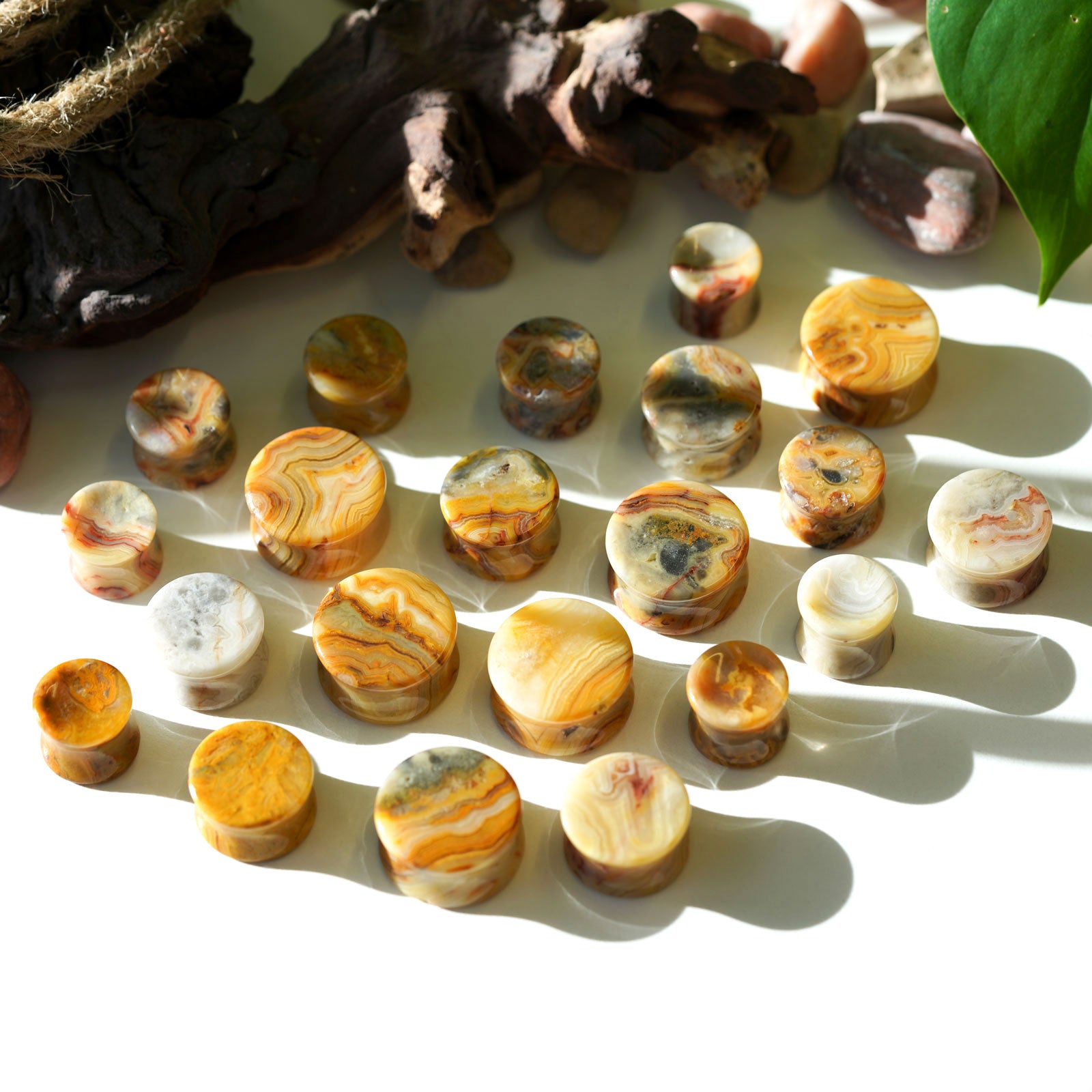 Crazy Lace Agate Double Flare Stone Plugs Groupshot