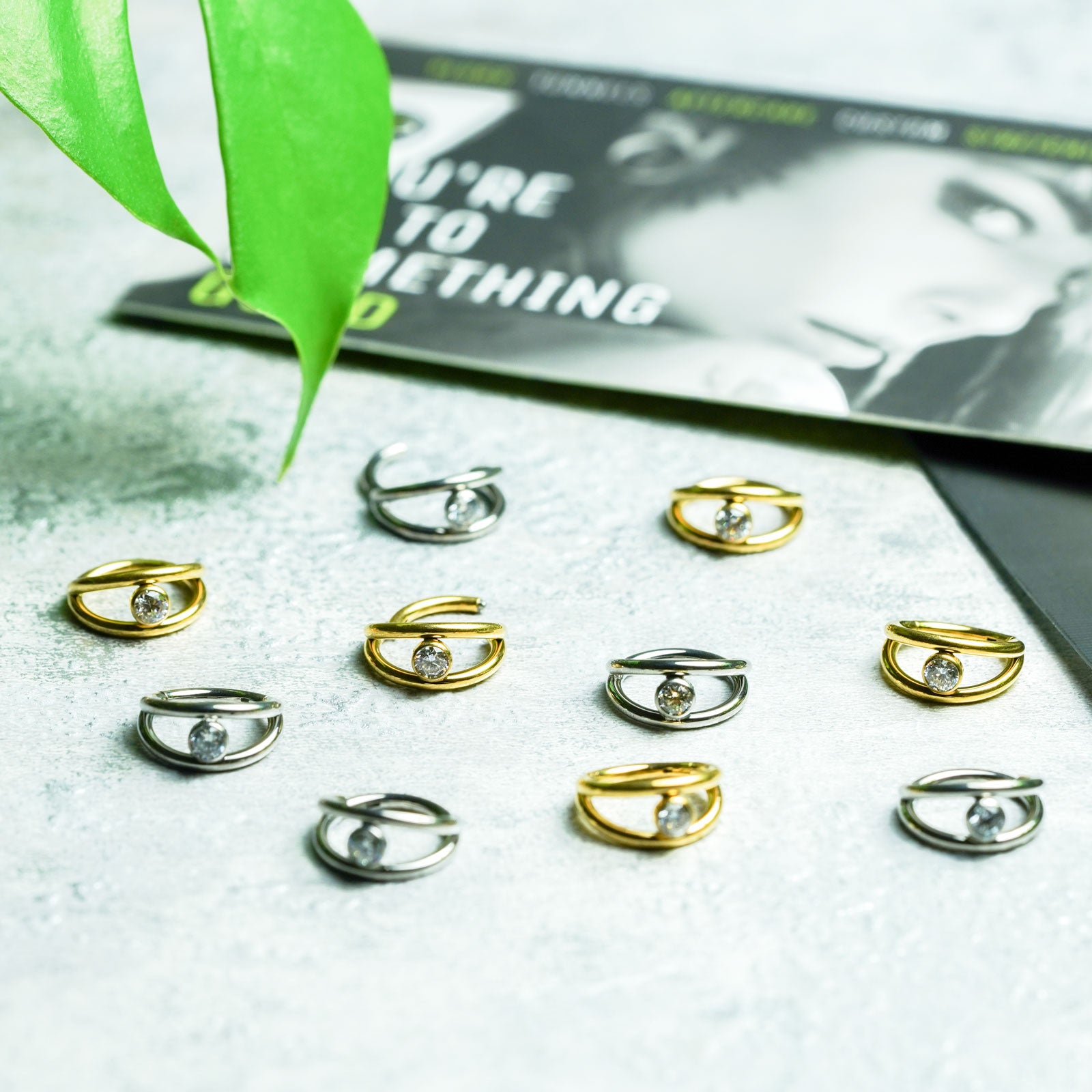 Double Hoop Single Jewel Titanium Hinged Segment Ring Groupshot