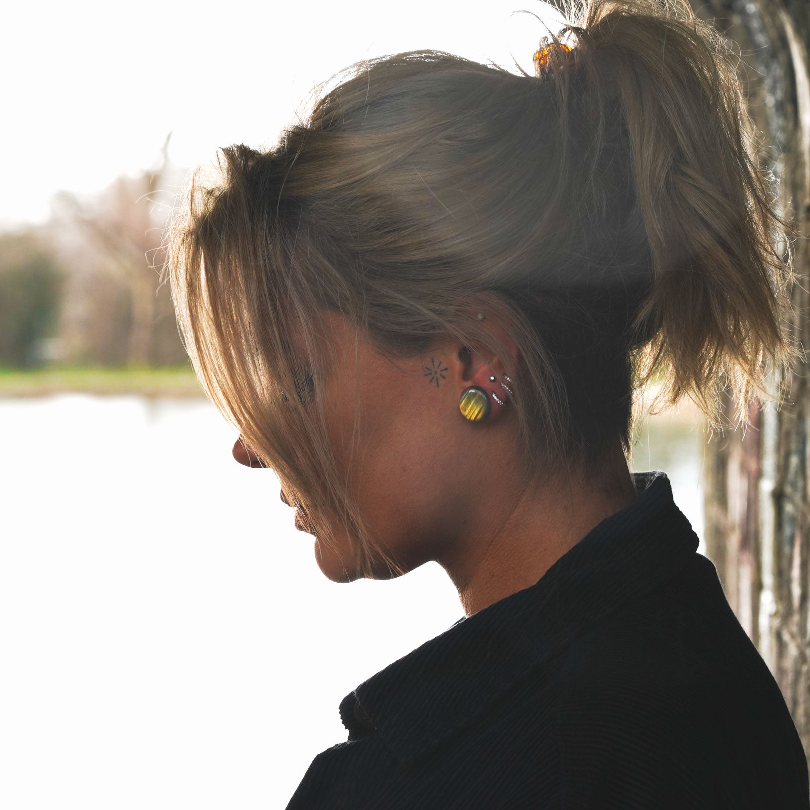 grade aaa labradorite single flare plug model shot side shot