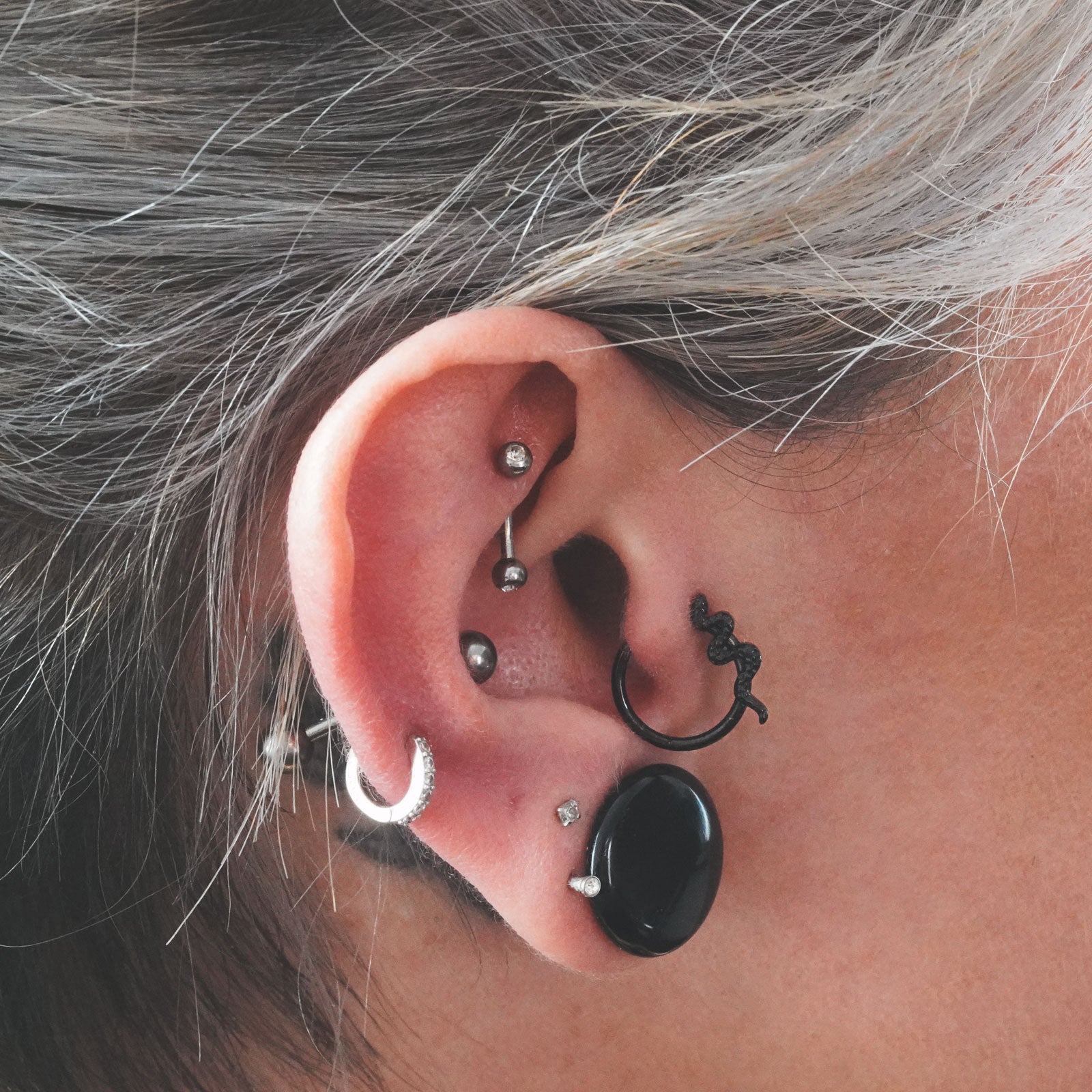 Hammered Snake Black PVD Titanium Hinged Segment Ring Model Shot