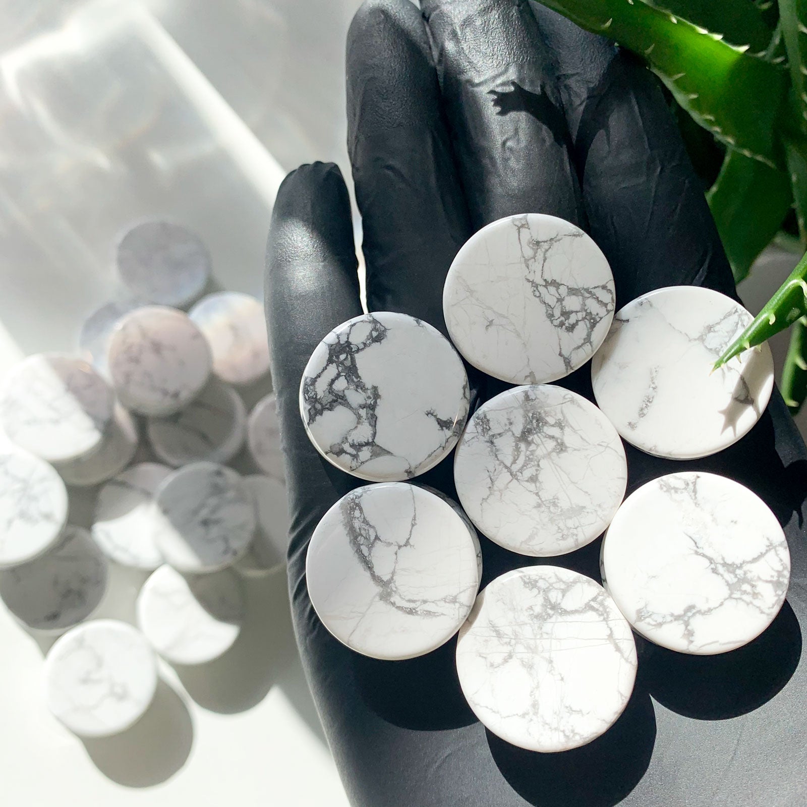 Howlite Double Flare Stone Plug Group Shot