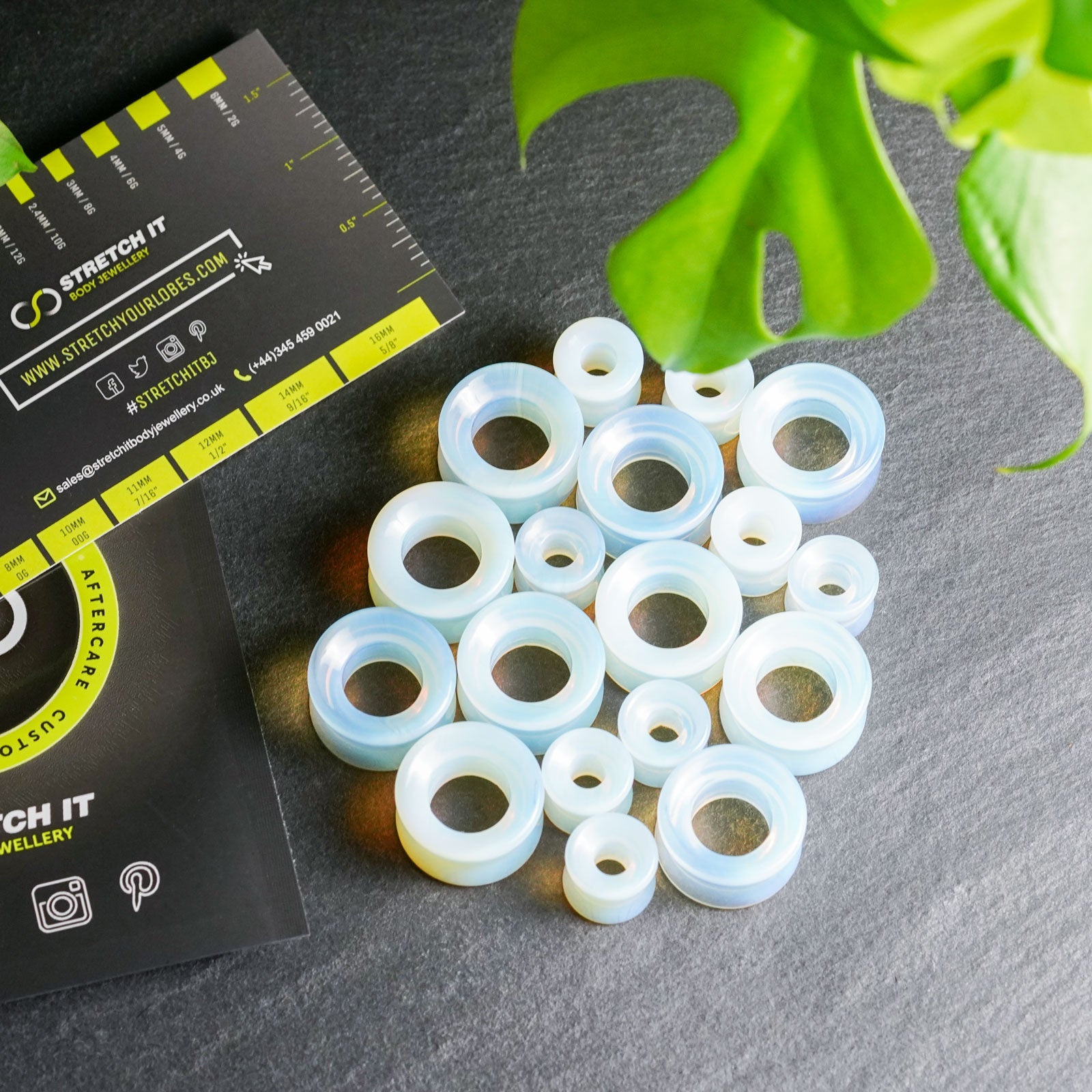 Opalite Double Flare Concave Stone Tunnel Groupshot