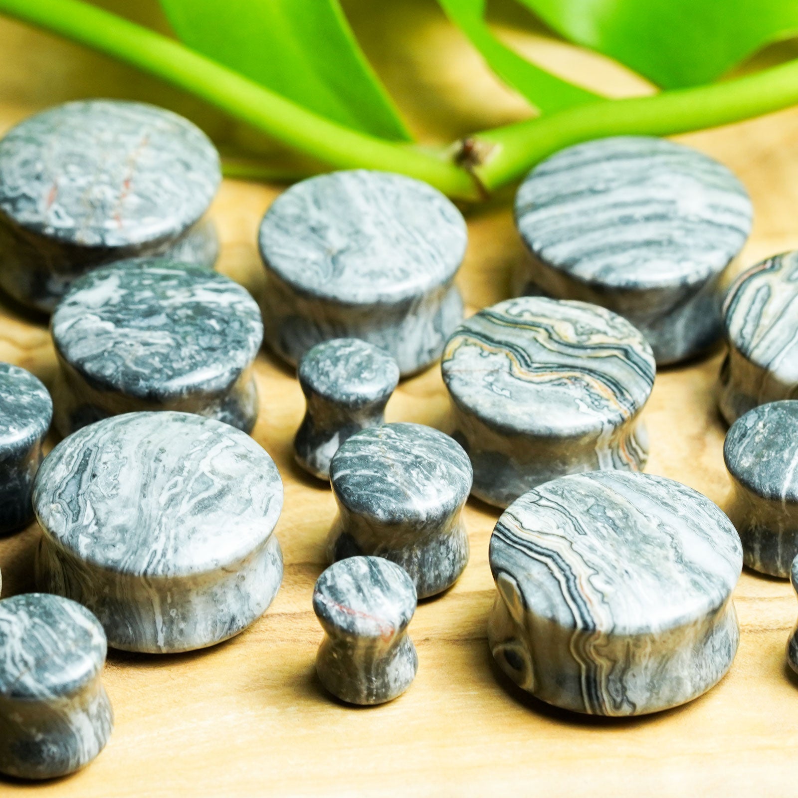 Picasso Jasper Double Flare Convex Stone Plug Group Shot