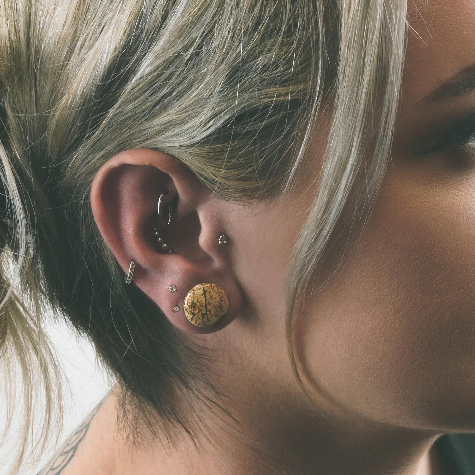 Picture Jasper Double Flare Convex Plug Model Shot