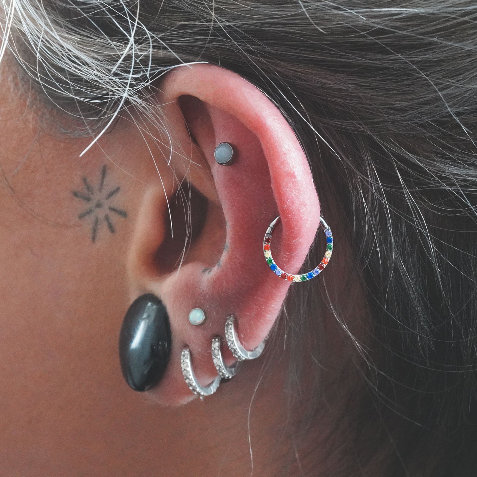 Rainbow Bejewelled Titanium Hinged Segment Ring Model Shot