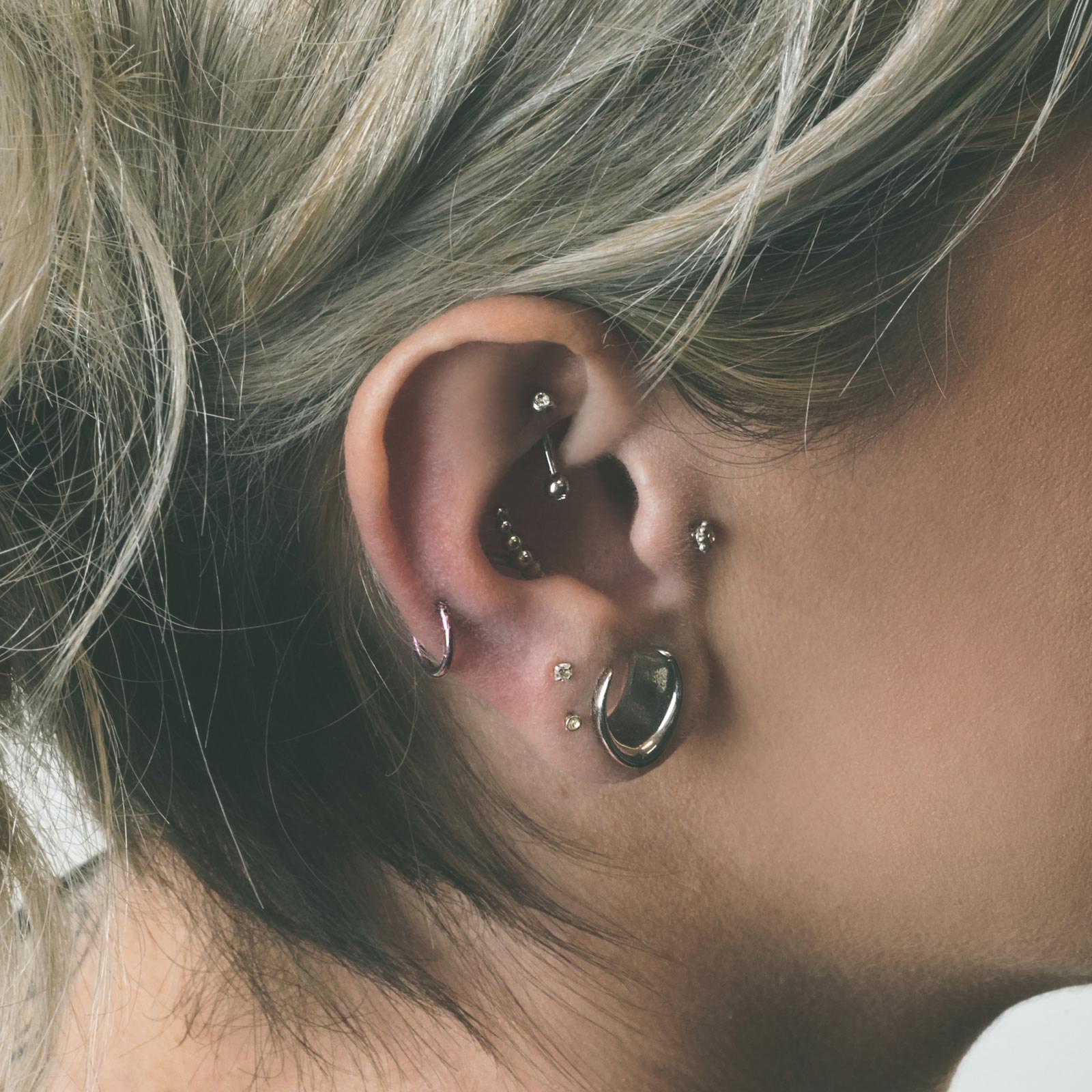 Rainbow PVD Titanium Hinged Segment Ring Model Shot