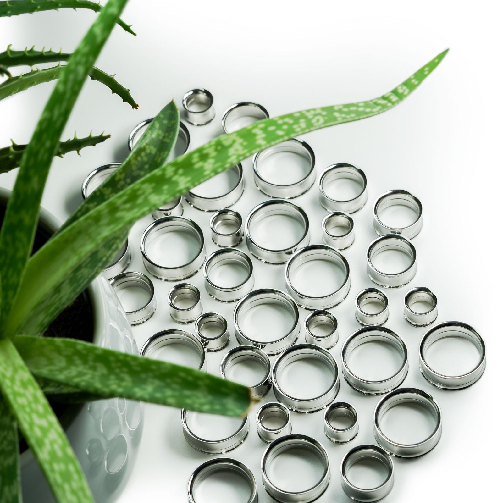 Surgical Steel Double Flare Screw Fit Tunnel Internally Threaded Group Shot