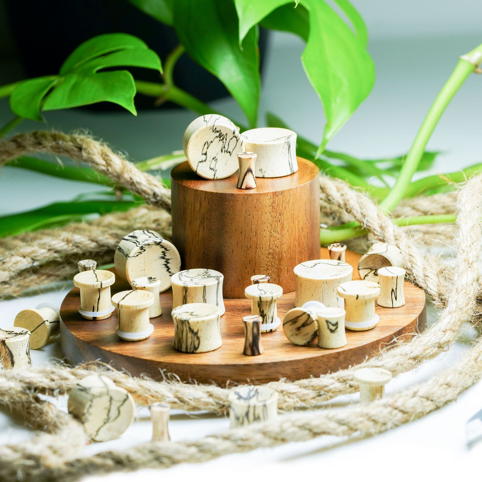 Tamarind Wood Concave Plug Groupshot