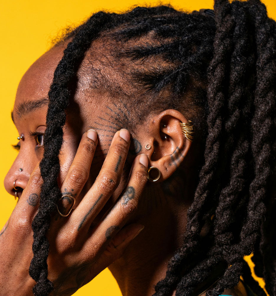 Curated Ear With Rook Piercing