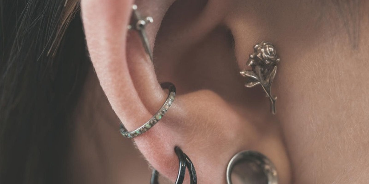 Conch piercing jewellery - rose stud in a conch piercing with black titanium hoops