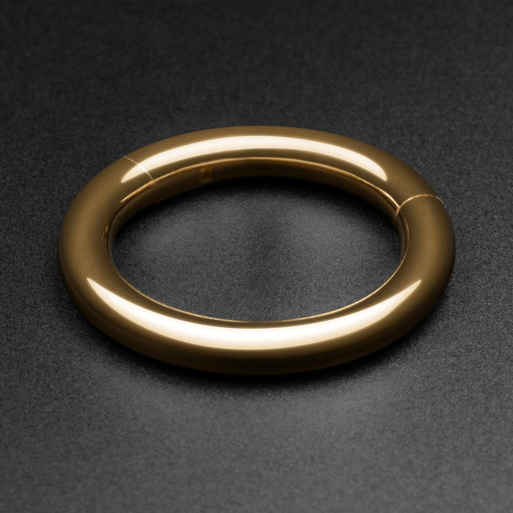 14k Gold Hinged Segment Ring | 6mm - 12mm | 14k Gold Body Jewellery ...