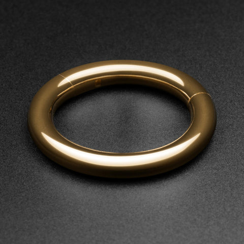 14k Gold Hinged Segment Ring