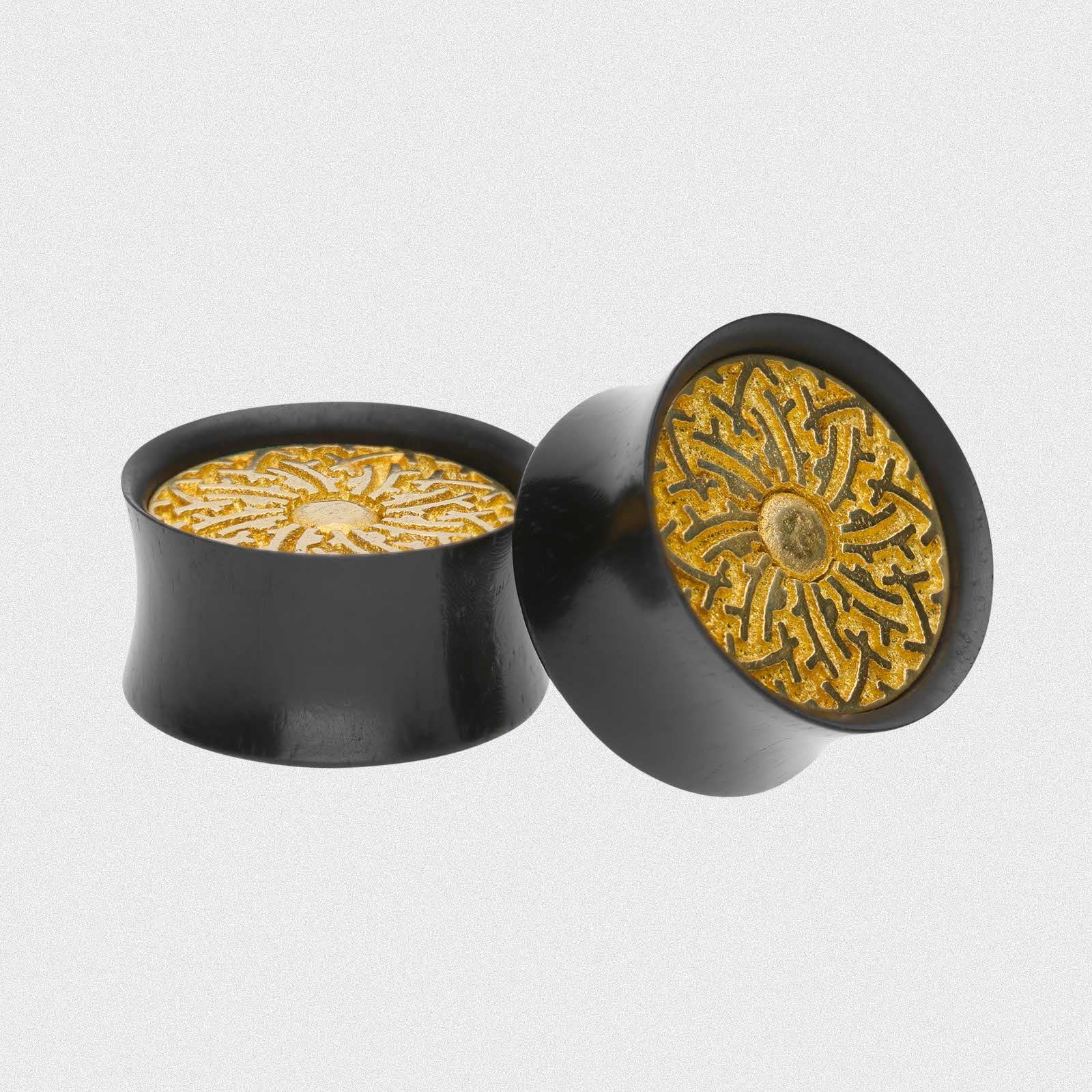 Areng Wood Double Flare Plug With Brass Shield Inlay
