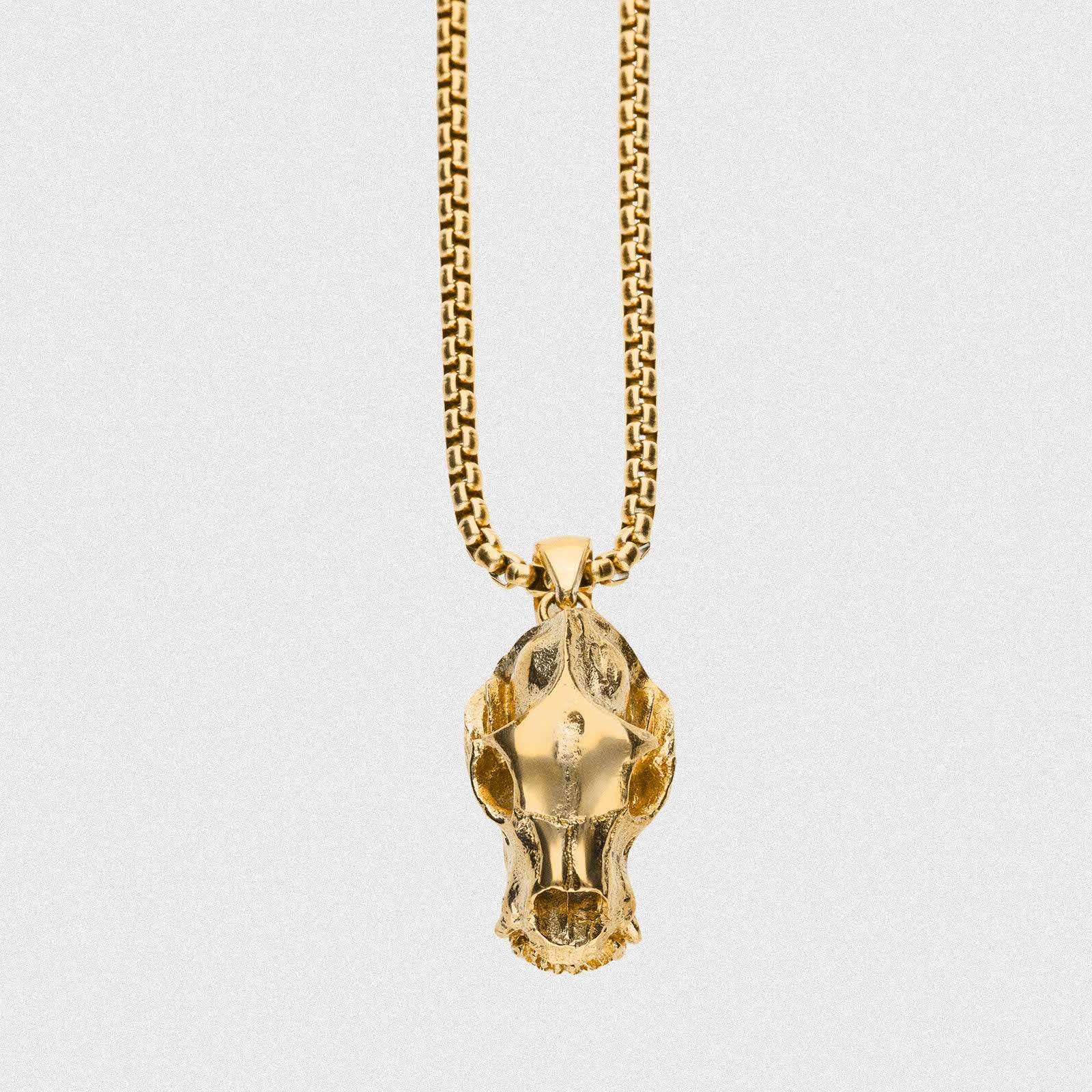 Bear Skull Brass Pendant With 18k Gold Box Chain