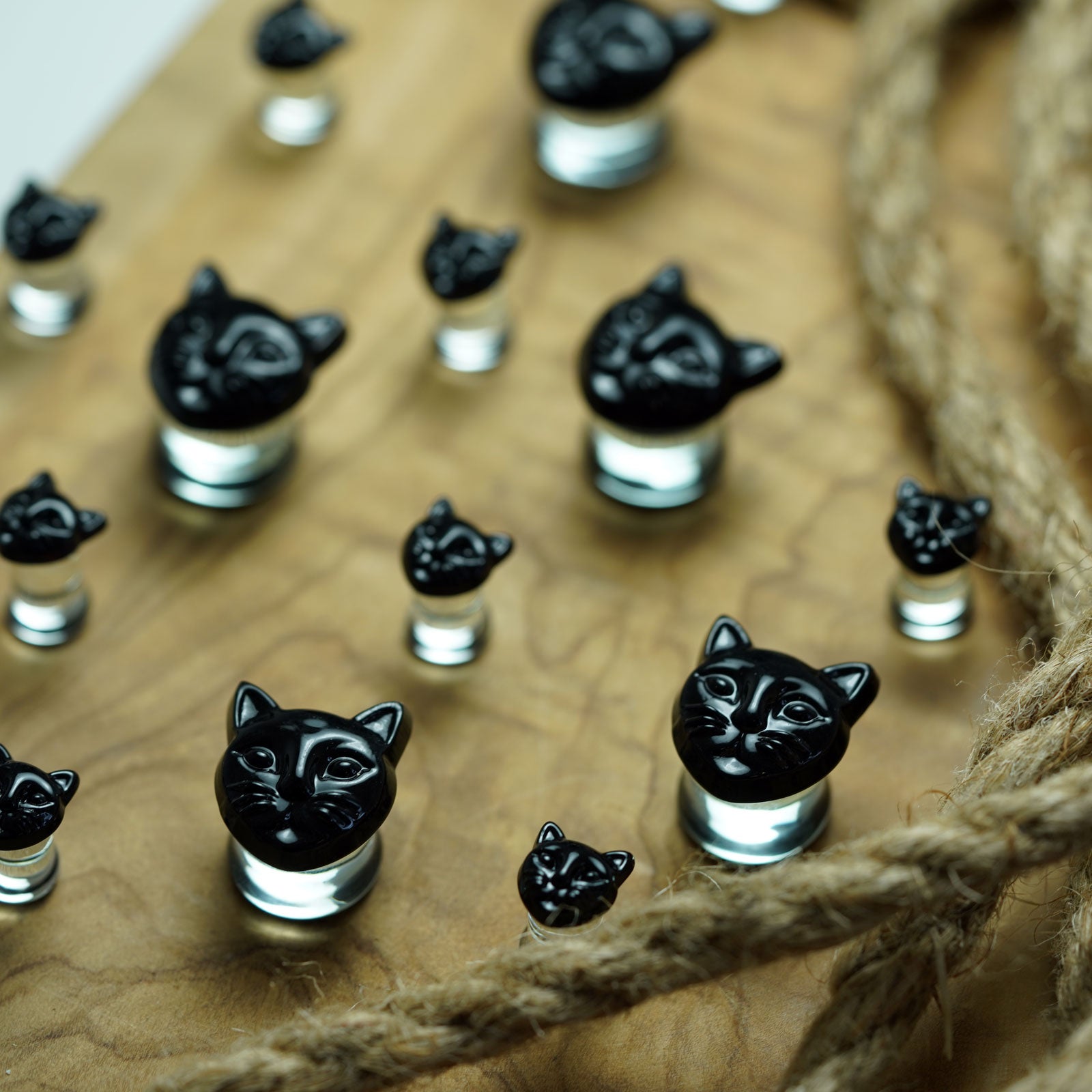 Black Cat Glass Double Flare Plug Group Shot