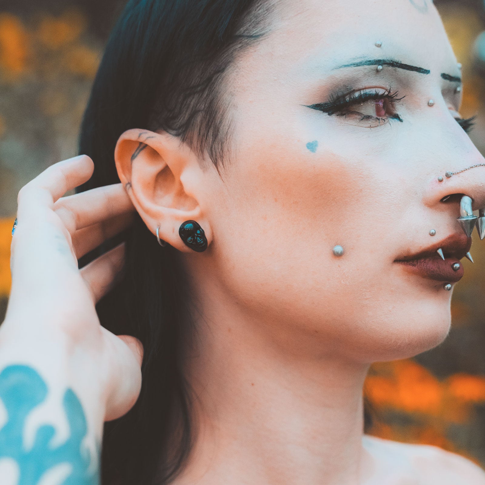 Black Skull Glass Double Flare Plug Model Shot Two