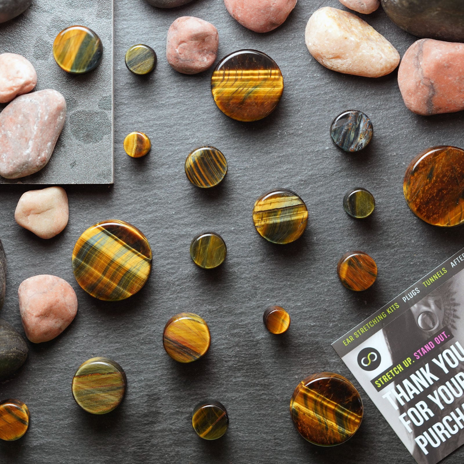 Blue Tiger's Eye Double Flare Plug Group Shot