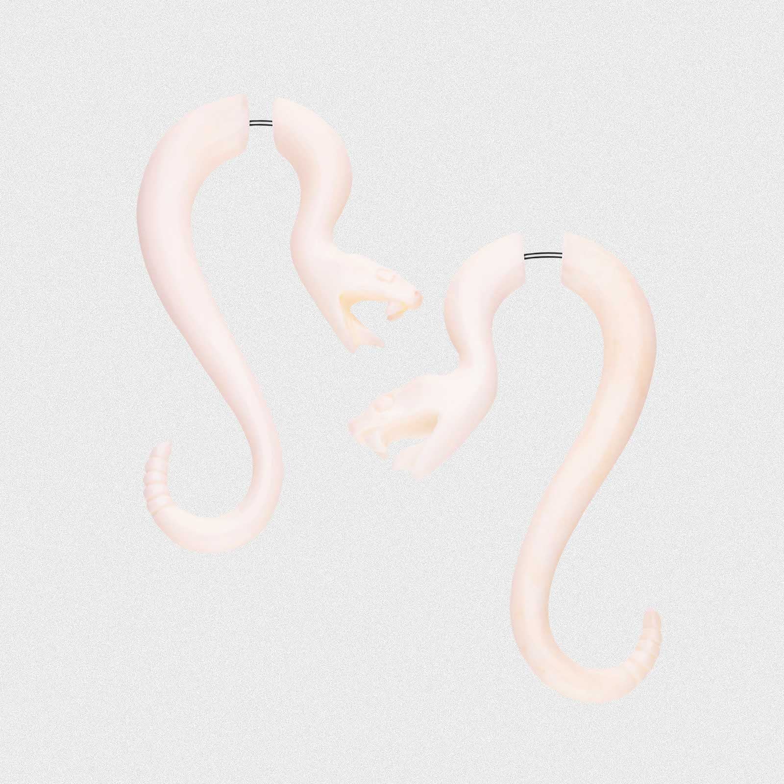 Bone Fake Gauge Rattlesnake Spiral