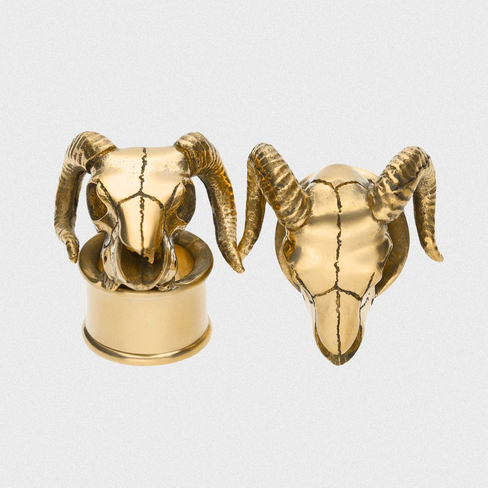 Brass Ram Skull Double Flare Plug
