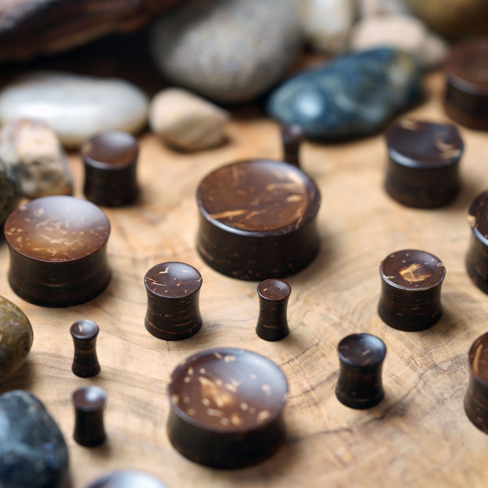 Coconut Shell Double Flare Concave Plug Group Shot