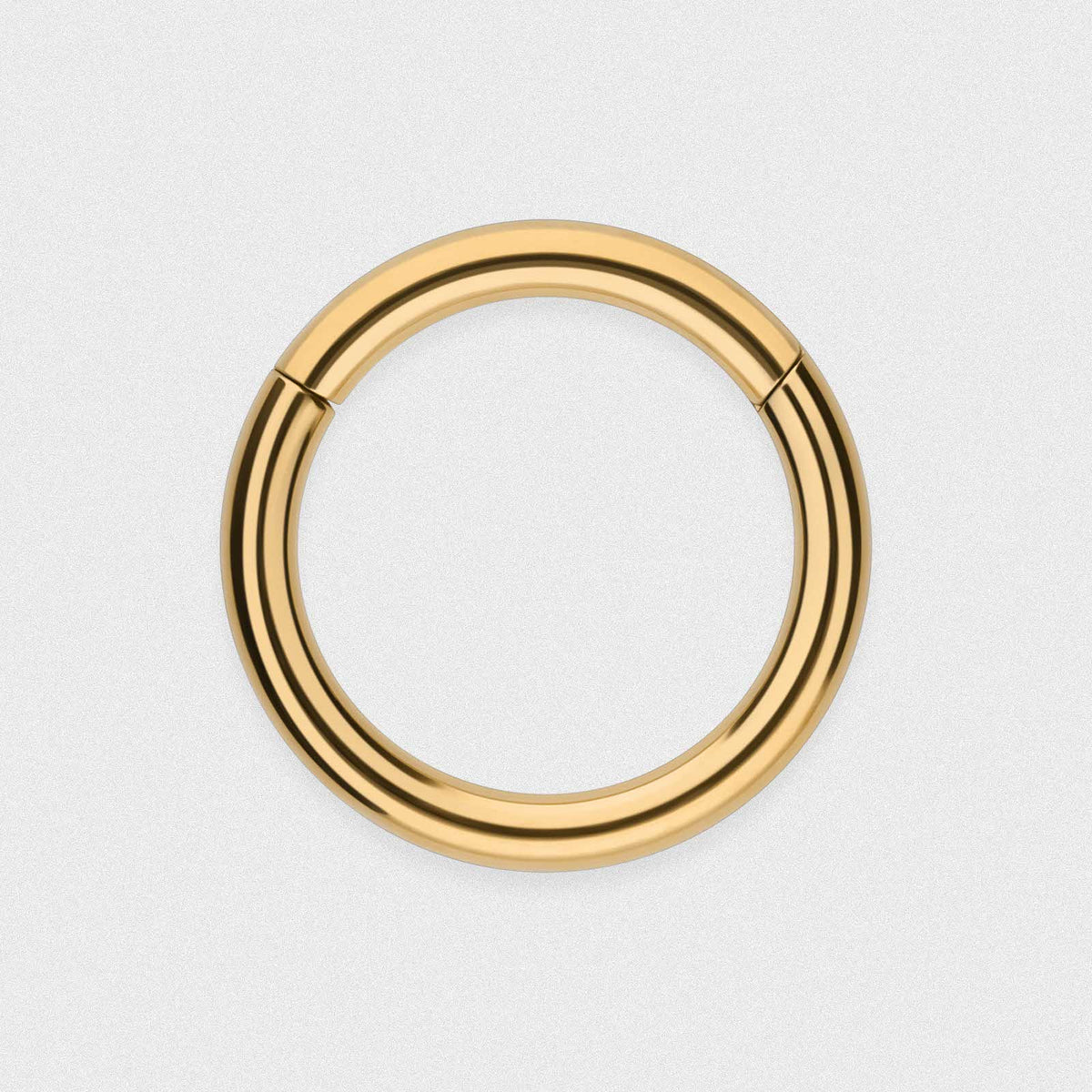 Hinged Segment Rings | Titanium Rings In All Sizes | Stretch It BJ