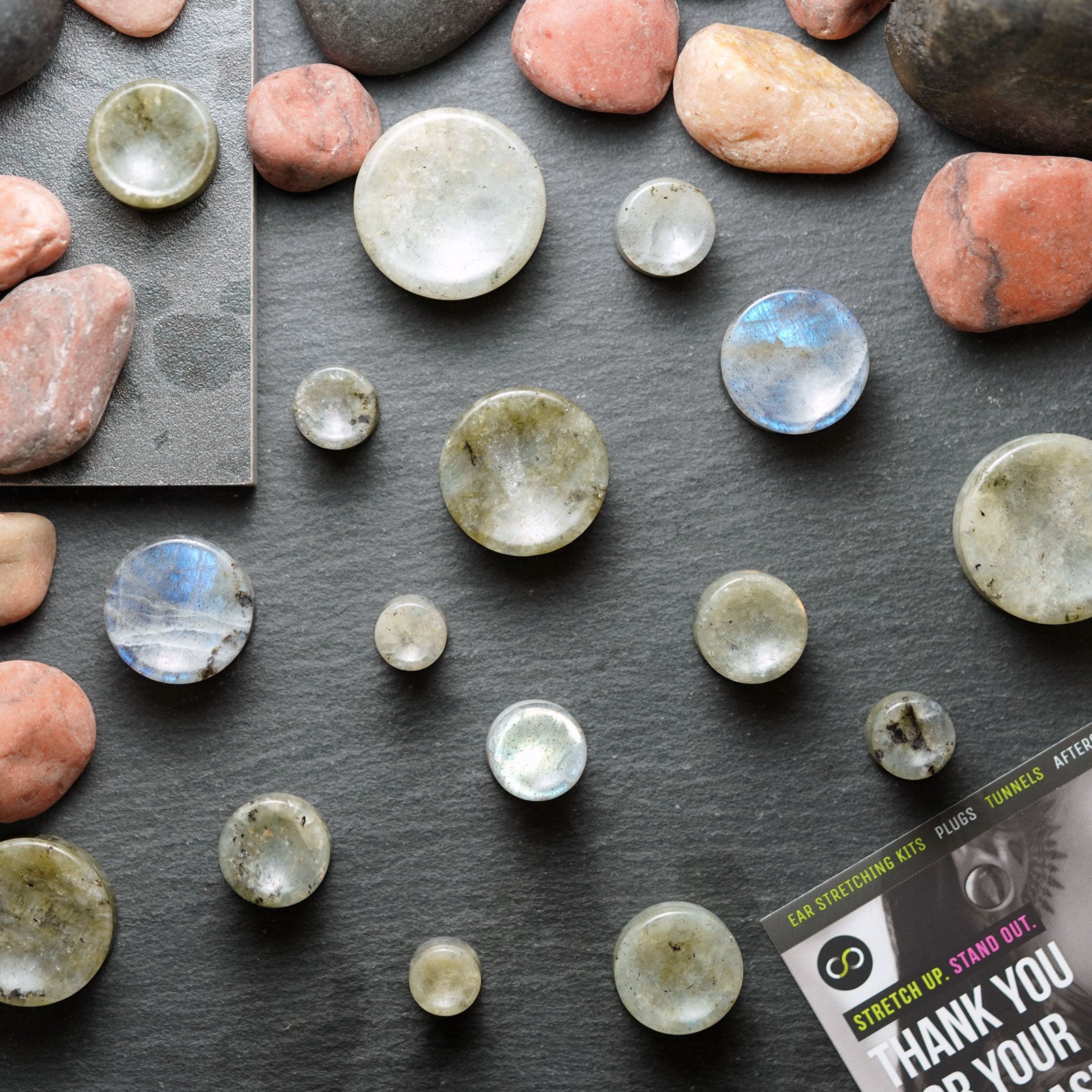 Grey Labradorite Double Flare Concave Stone Plug Group Shot