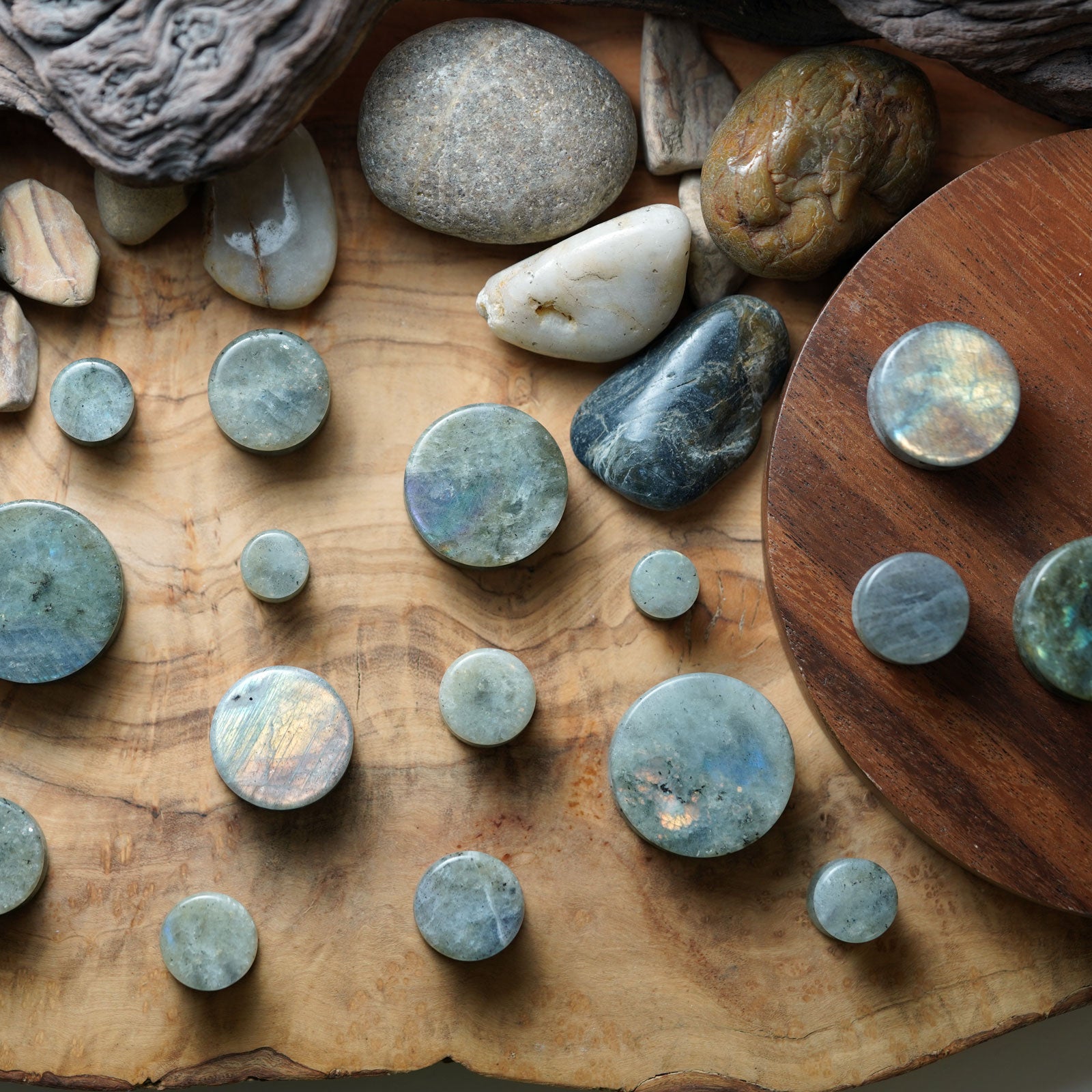 Grey Labradorite Double Flare Stone Plug Group Shot Two