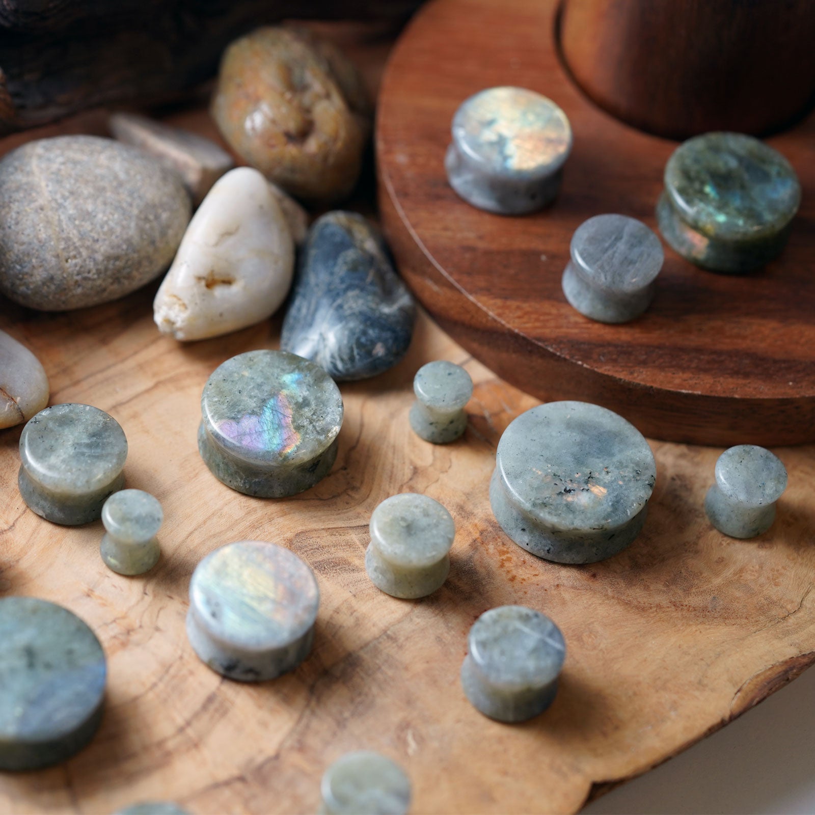 Grey Labradorite Double Flare Stone Plug Group Shot