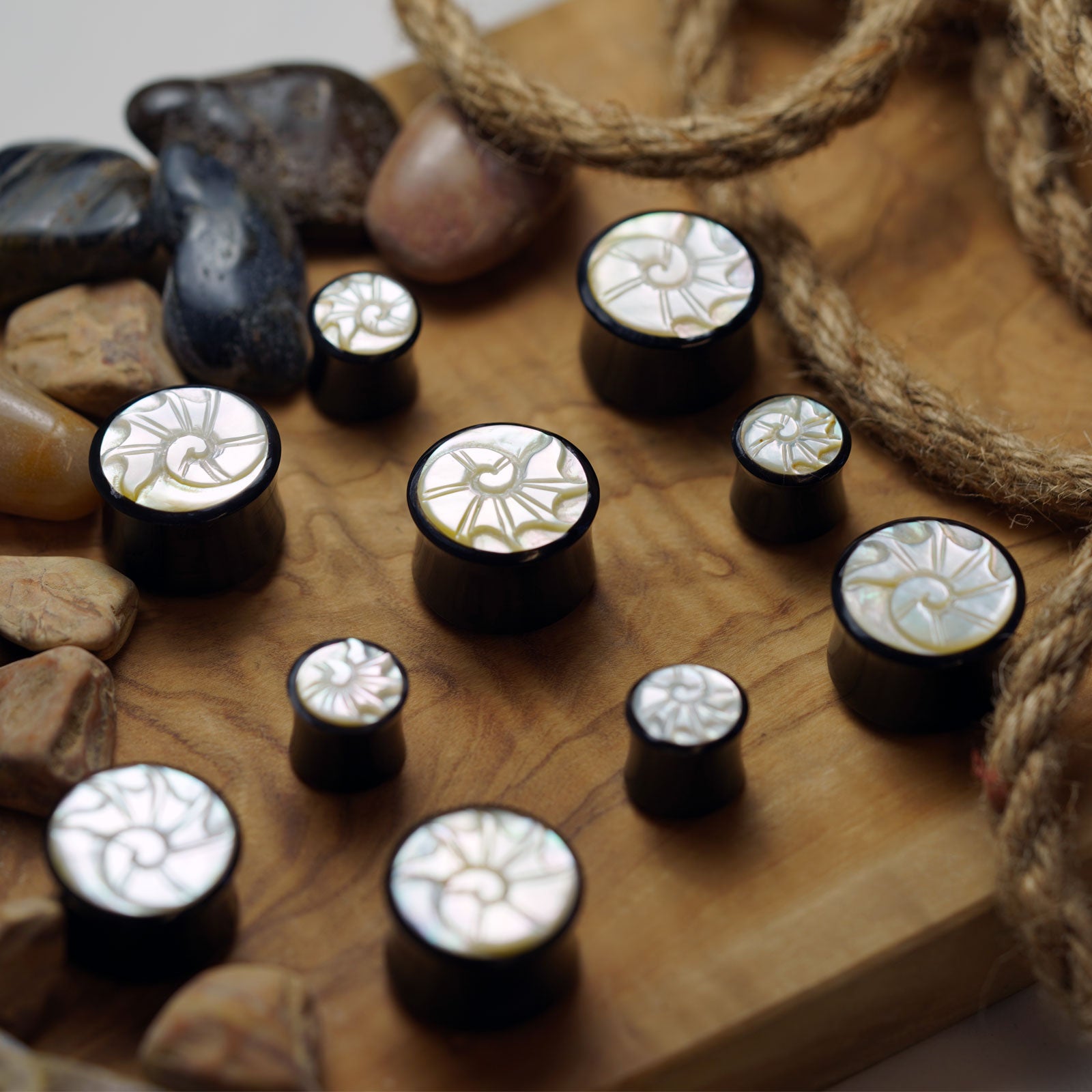 Horn Double Flare Plug With Ammonite MOP Carving Inlay Group Shot