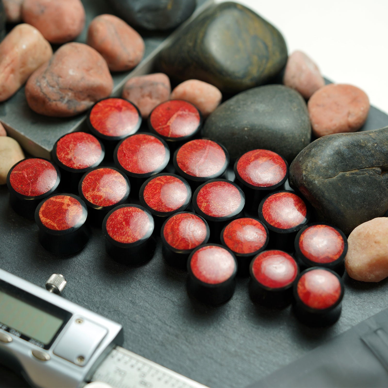 Horn Double Flare Plug With Red Coral Inlay Group Shot