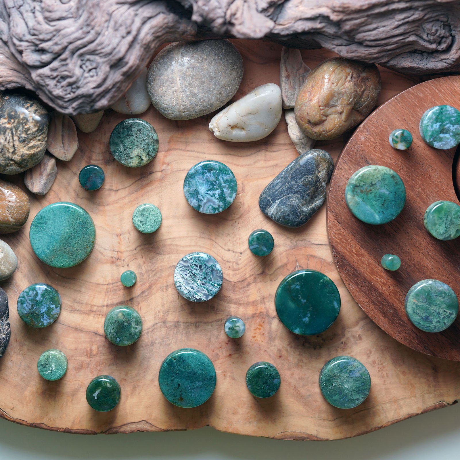 Moss Agate Double Flare Stone Plug Group Shot