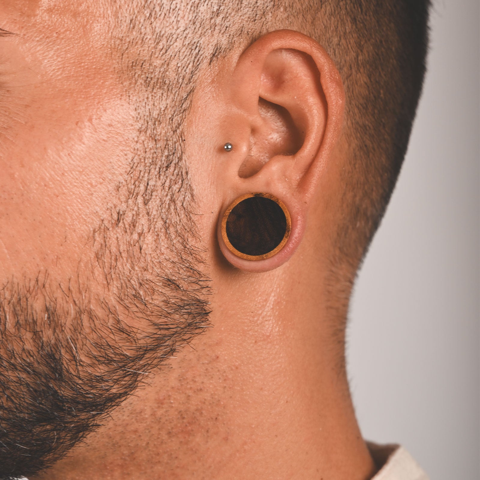 Olive Wood Double Flare Concave Plug With Sono Wood Inlay Model Shot Close Up