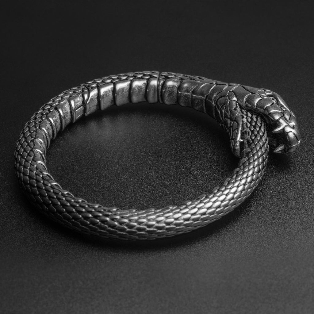 Ouroboros Snake Surgical Steel Magnetic Ear Weight