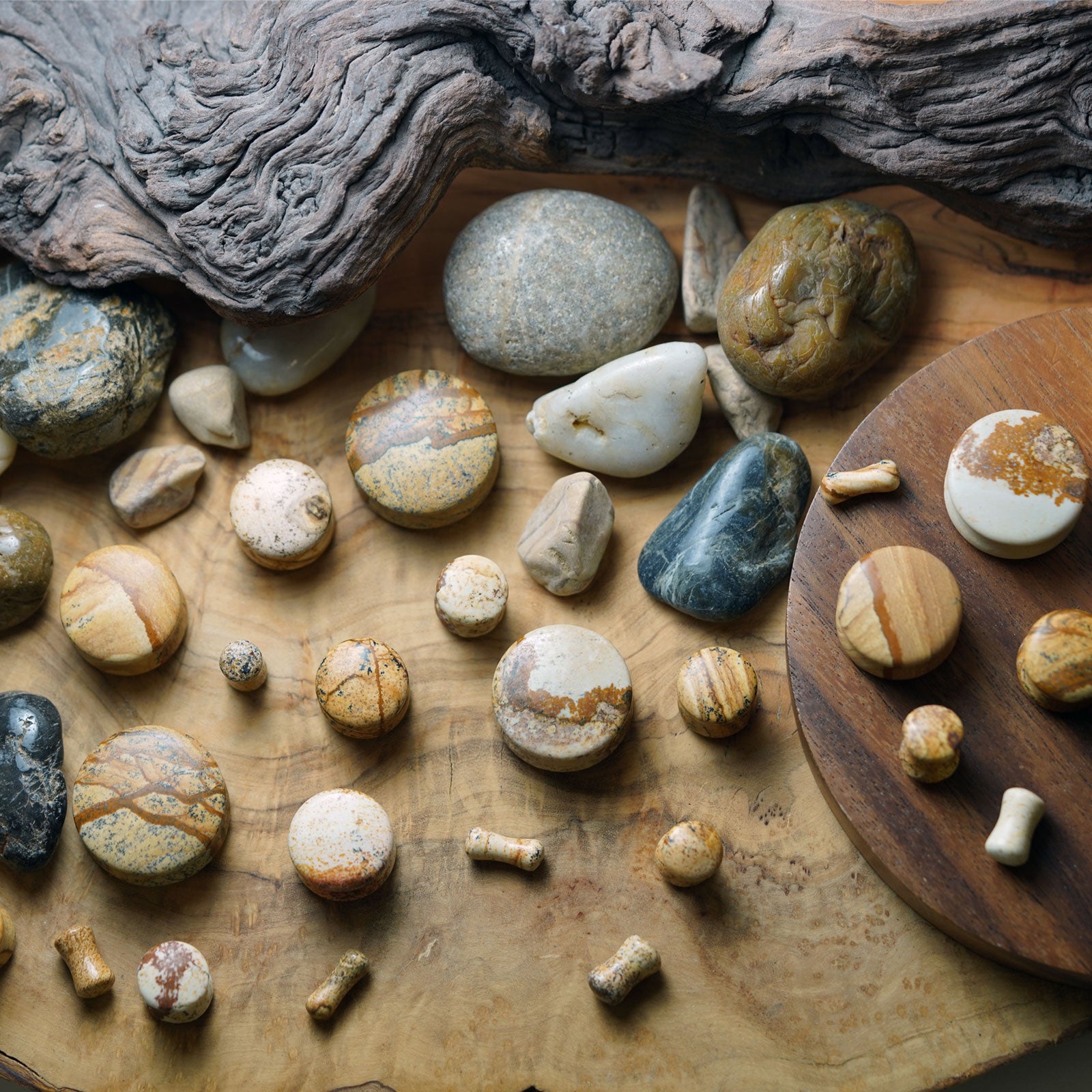 Picture Jasper Double Flare Convex Plug Group Shot Two