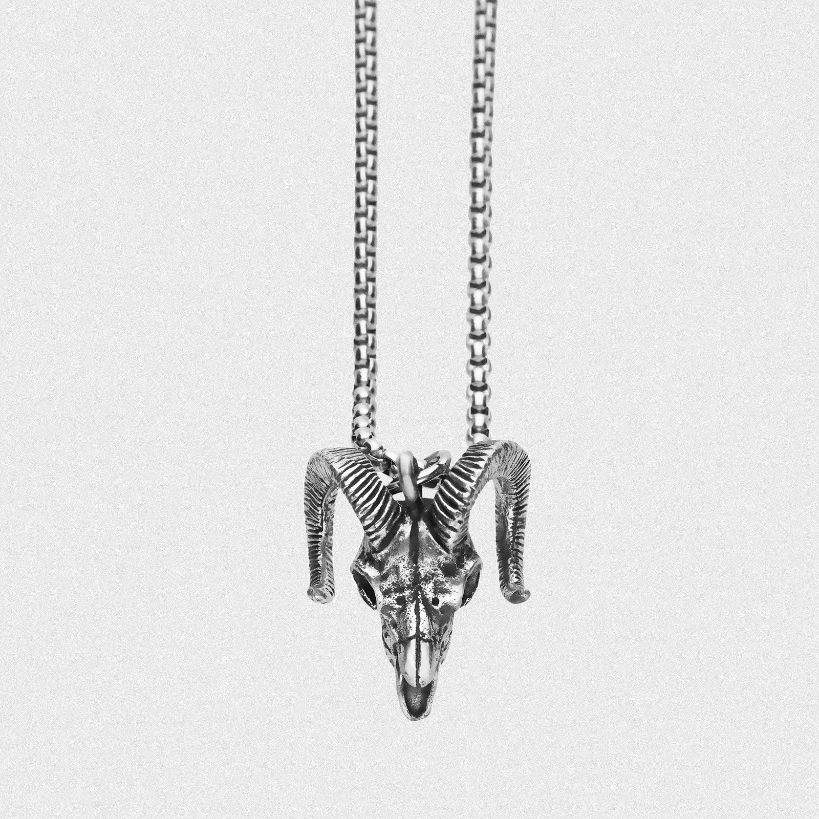 Ram Skull White Brass Pendant With Surgical Steel Box Chain