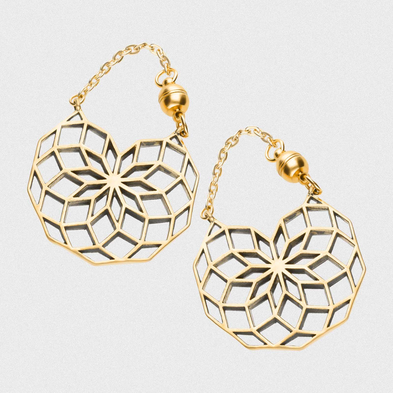 Seed Of Life Magnetic Brass Plug Hoops
