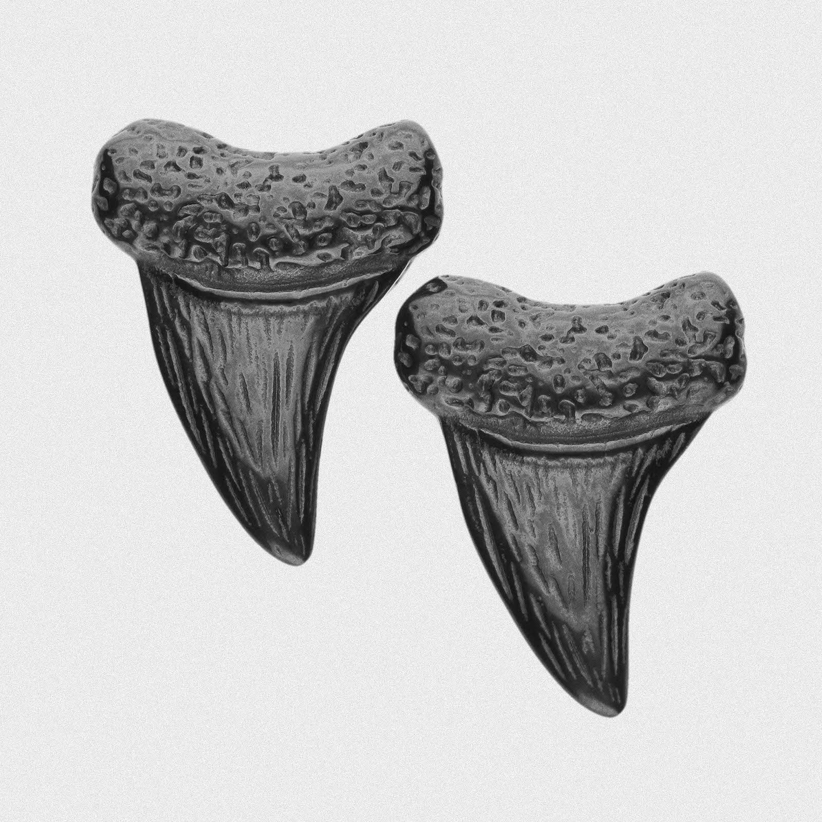 Shark Tooth Black PVD Ear Weight