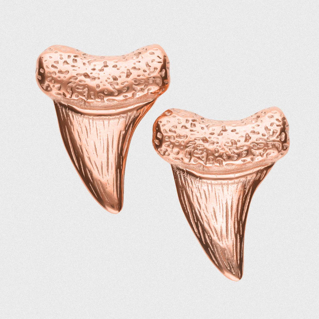 Shark Tooth Rose Gold PVD Ear Weight | Ear Hangers | Ear Stretching