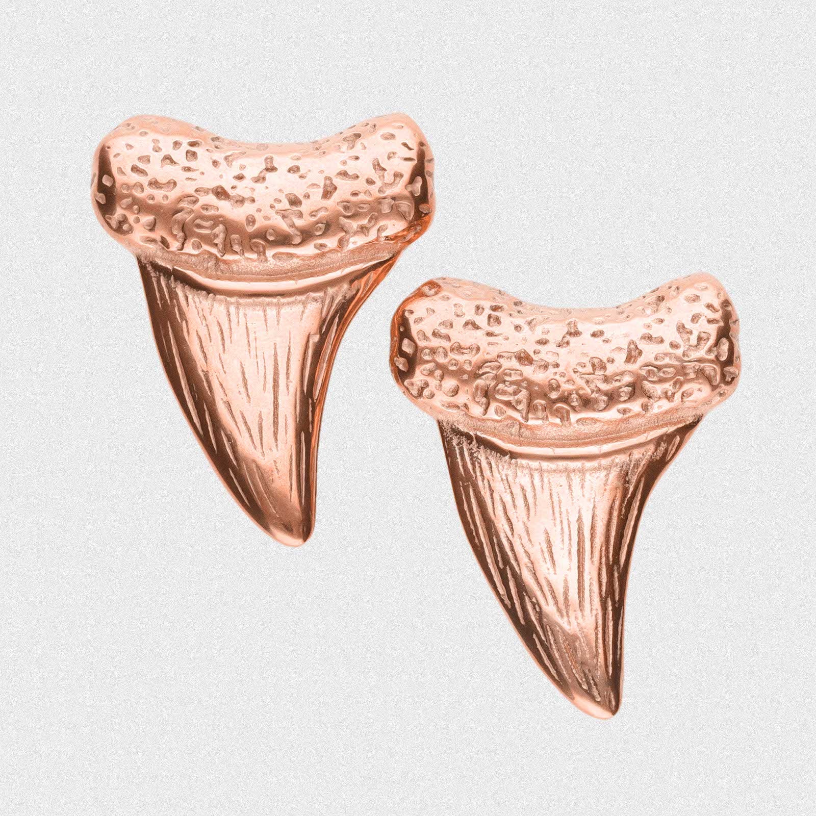 Shark Tooth Rose Gold PVD Ear Weight
